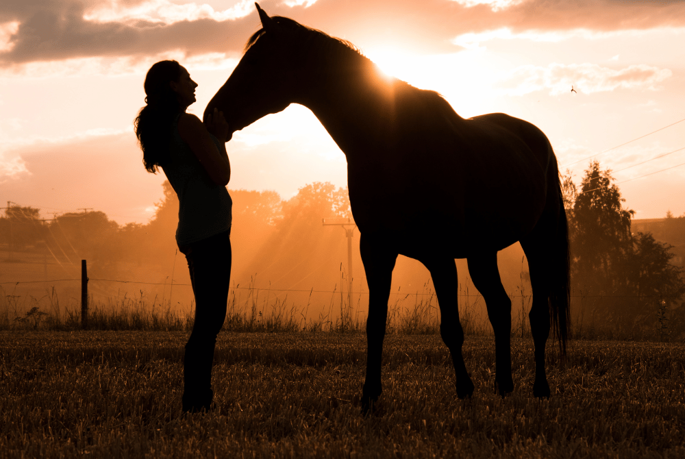 Importancia del Vínculo entre Caballo y Jinete: Una Relación más Allá del Control